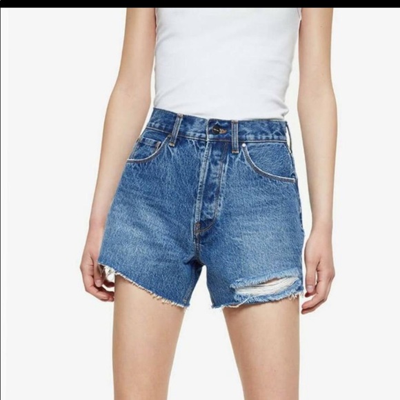 Anine Bing Pants - Anine Bing Gina Short - blue sea